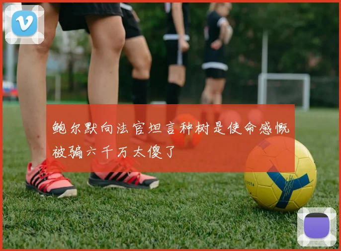 鲍尔默向法官坦言种树是使命感慨被骗六千万太傻了